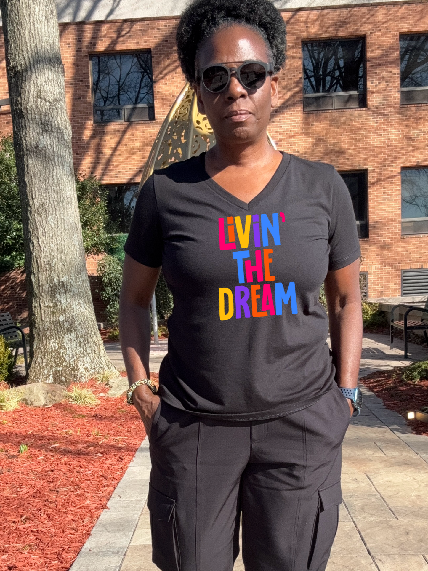 Livin" The Dream Tri- Blend V-Neck T-Shirt